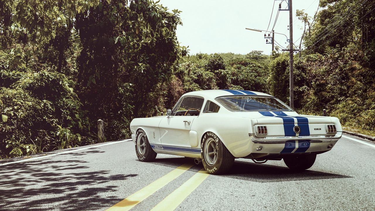 Wallpaper ford, shelby, gt350r, muscle