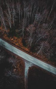 Preview wallpaper forest, aerial view, autumn, trees, branches, road