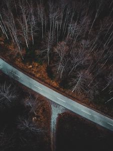 Preview wallpaper forest, aerial view, autumn, trees, branches, road