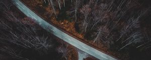 Preview wallpaper forest, aerial view, autumn, trees, branches, road