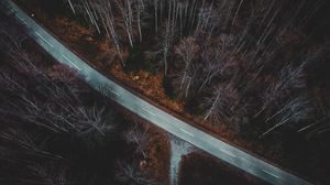 Preview wallpaper forest, aerial view, autumn, trees, branches, road