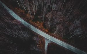 Preview wallpaper forest, aerial view, autumn, trees, branches, road