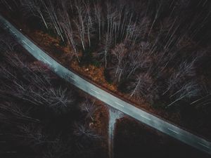 Preview wallpaper forest, aerial view, autumn, trees, branches, road