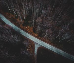 Preview wallpaper forest, aerial view, autumn, trees, branches, road