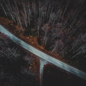 Preview wallpaper forest, aerial view, autumn, trees, branches, road