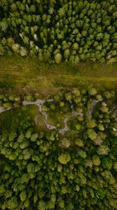 Preview wallpaper forest, aerial view, path, trees