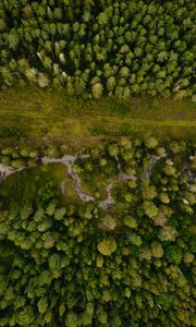 Preview wallpaper forest, aerial view, path, trees