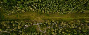 Preview wallpaper forest, aerial view, path, trees