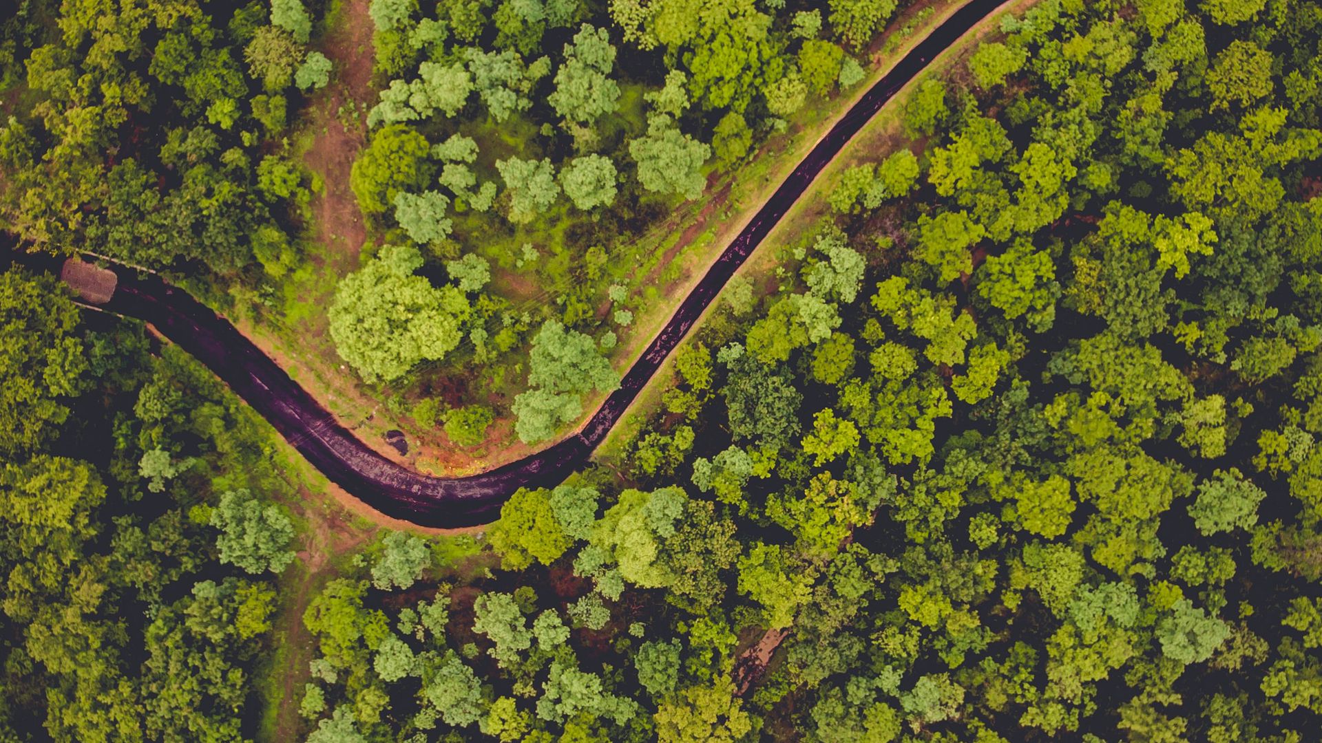 Download wallpaper 1920x1080 forest, aerial view, river, green full hd