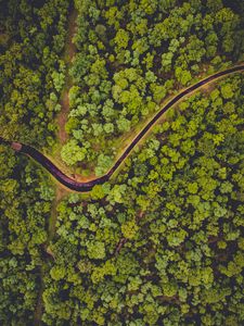 Preview wallpaper forest, aerial view, river, green