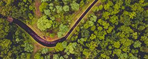 Preview wallpaper forest, aerial view, river, green
