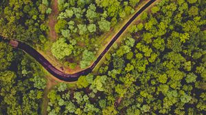 Preview wallpaper forest, aerial view, river, green