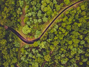 Preview wallpaper forest, aerial view, river, green