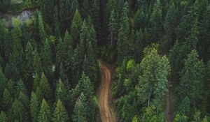 Preview wallpaper forest, aerial view, road, green, vegetation