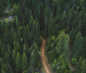 Preview wallpaper forest, aerial view, road, green, vegetation