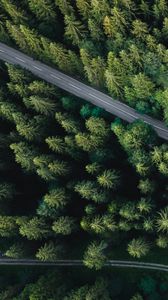 Preview wallpaper forest, aerial view, road, spruce, machine