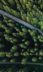 Preview wallpaper forest, aerial view, road, spruce, machine