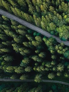 Preview wallpaper forest, aerial view, road, spruce, machine