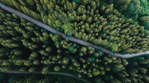Preview wallpaper forest, aerial view, road, spruce, machine