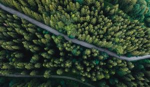 Preview wallpaper forest, aerial view, road, spruce, machine