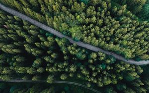 Preview wallpaper forest, aerial view, road, spruce, machine