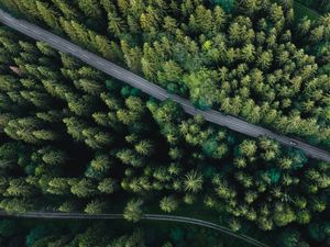 Preview wallpaper forest, aerial view, road, spruce, machine