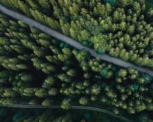 Preview wallpaper forest, aerial view, road, spruce, machine