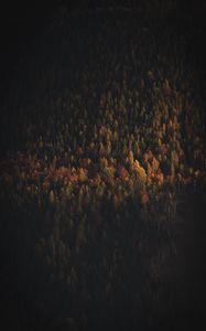 Preview wallpaper forest, aerial view, shadow, trees, dark