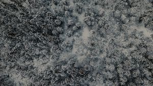 Preview wallpaper forest, aerial view, snow, winter