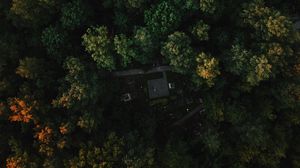 Preview wallpaper forest, aerial view, trees, green, autumn