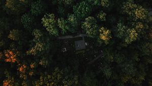 Preview wallpaper forest, aerial view, trees, green, autumn