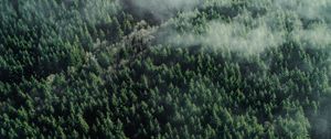 Preview wallpaper forest, aerial view, trees, tops, clouds