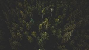 Preview wallpaper forest, aerial view, trees, tops, dark