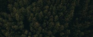 Preview wallpaper forest, aerial view, trees, tops, dark