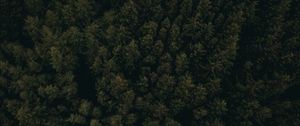 Preview wallpaper forest, aerial view, trees, tops, dark