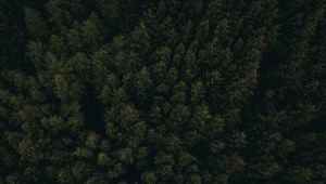 Preview wallpaper forest, aerial view, trees, tops, dark