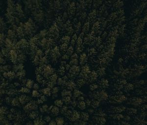 Preview wallpaper forest, aerial view, trees, tops, dark