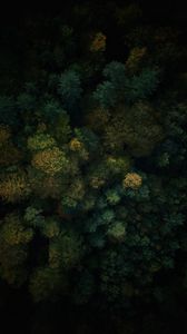 Preview wallpaper forest, aerial view, trees, treetops, green