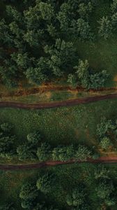Preview wallpaper forest, aerial view, trees, paths