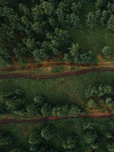 Preview wallpaper forest, aerial view, trees, paths