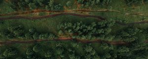 Preview wallpaper forest, aerial view, trees, paths