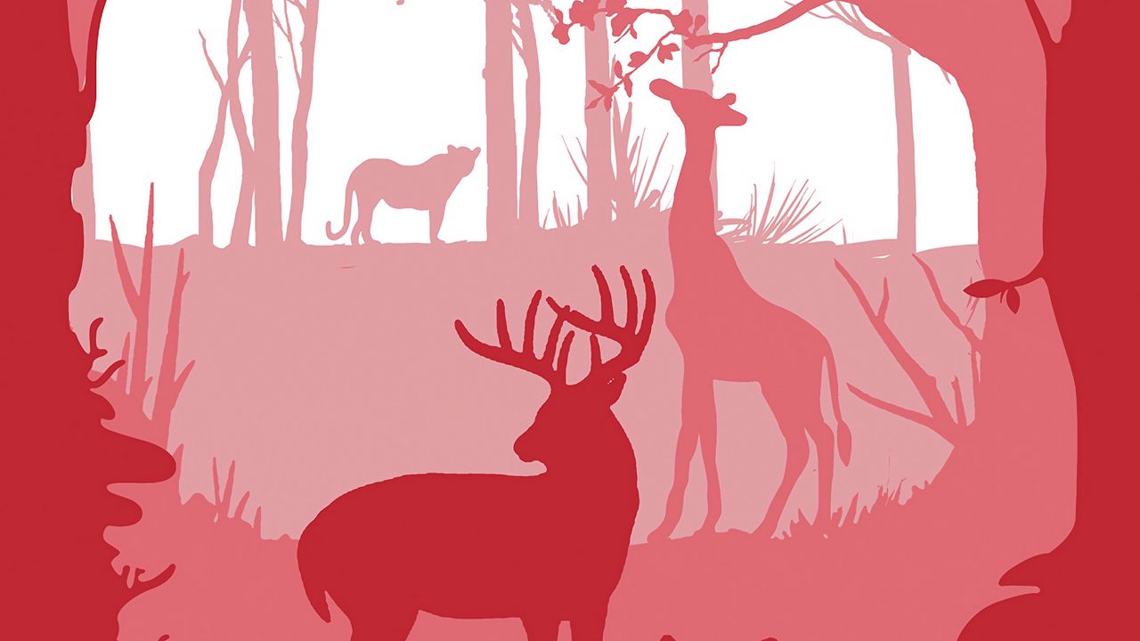 Wallpaper forest, animals, silhouettes, vector, art