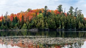 Preview wallpaper forest, autumn, lake, trees, nature