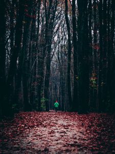 Preview wallpaper forest, autumn, man, lonely, run, foliage