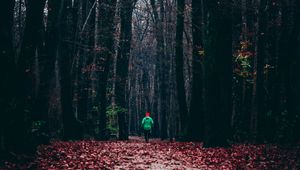 Preview wallpaper forest, autumn, man, lonely, run, foliage