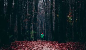 Preview wallpaper forest, autumn, man, lonely, run, foliage