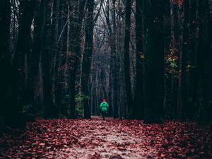 Preview wallpaper forest, autumn, man, lonely, run, foliage