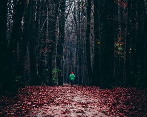 Preview wallpaper forest, autumn, man, lonely, run, foliage