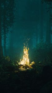 Preview wallpaper forest, bonfire, fire, light, dark