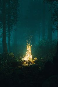 Preview wallpaper forest, bonfire, fire, light, dark